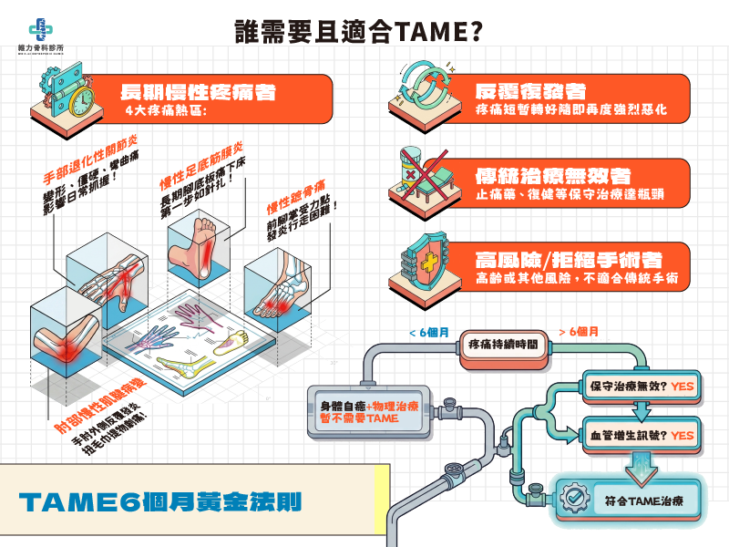 誰需要且適合TAME