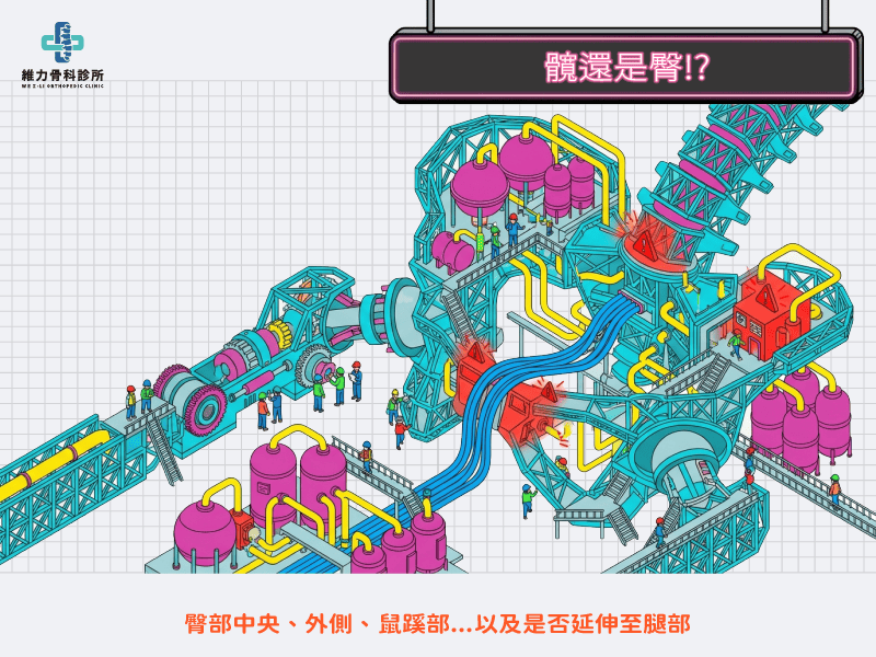 深層的痛來自髖還是臀