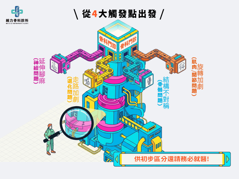 腰背痛從觸發點判斷病症