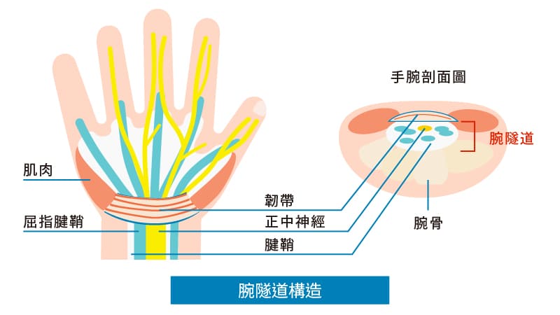 腕隧道構造