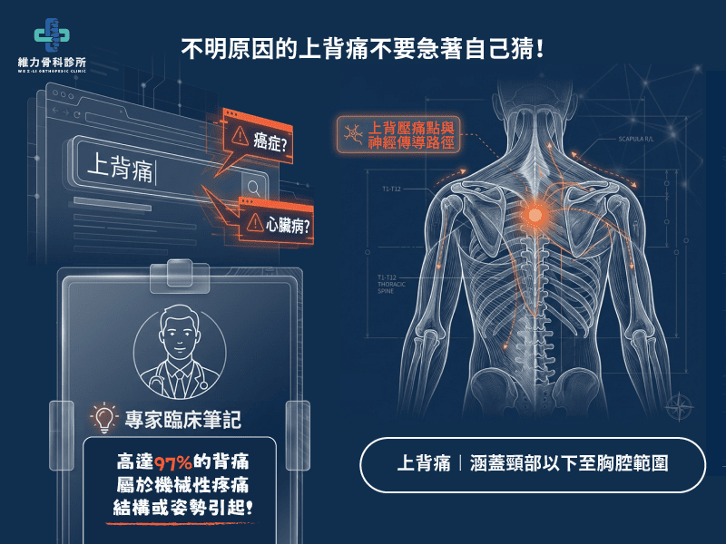 不明原因上背痛怎麼辦