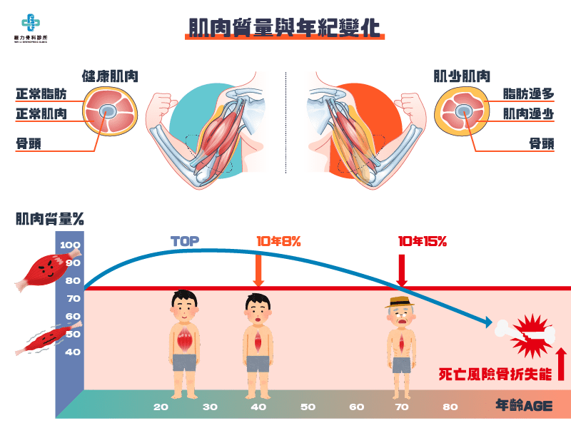 肌肉質量與年紀變化