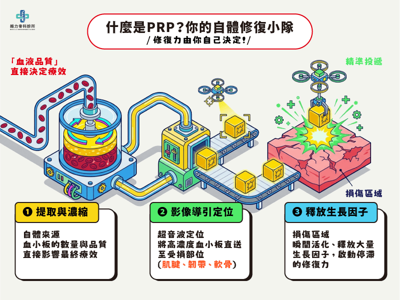什麼是PRP?修復力自己決定