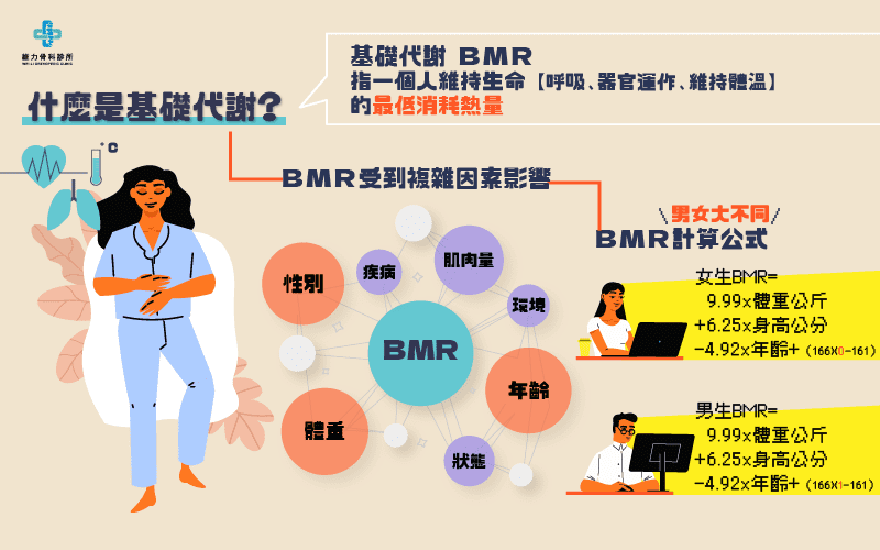 什麼是基礎代謝？BMR計算公式男女大不同