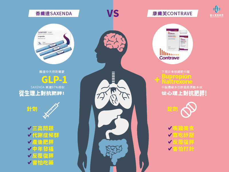 減重藥物善纖達與康纖芙的比較