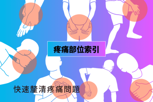 疼痛部位索引