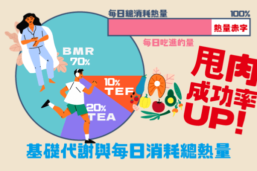 了解基礎代謝與每日消耗總熱量，讓甩肉成功率UP！