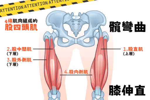 股四頭肌腱炎