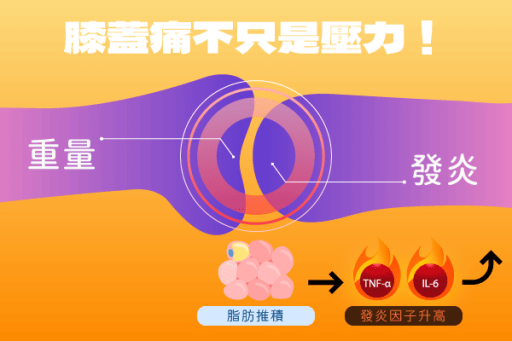 肥胖與代謝造成發炎型關節痛